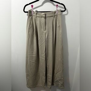 American Eagle Outfitters Light Tan Trousers